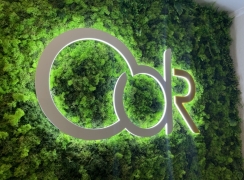 Logo 3d na chrobotku, zielona ściana